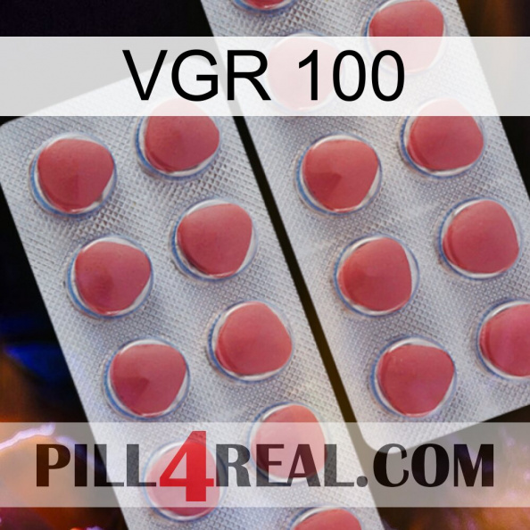 Vgr 100 19.jpg